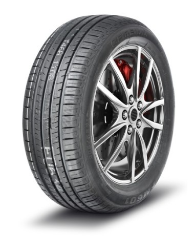 255/40 R19 TL 100W FM601 XL 