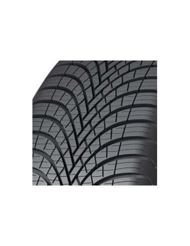 All Weather SAVA 225 60 17 99 V
