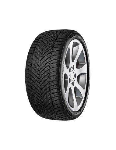 225/55 R17 TL 97W AS POWER BSW M+S...