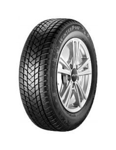 Winterpro 2 (evo) GT-RADIAL...