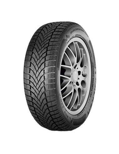 Eurowinter HS02 PRO FALKEN 255 45 19...