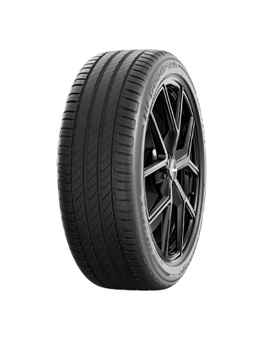 ADVANTAGE 2 BF-GOODRICH 205 55 17 95 V