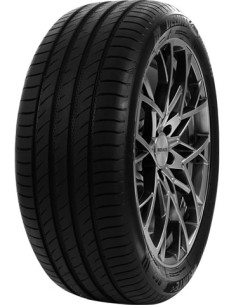 205/60 VR15 TL 91V DS2 