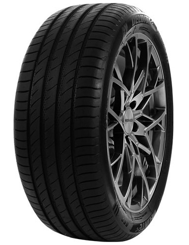 205/60 VR15 TL 91V DS2 