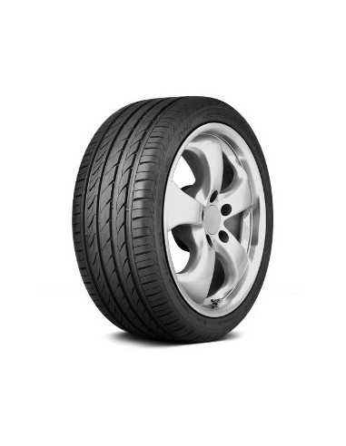 205/55 R17 95 W DELINTE - DH2