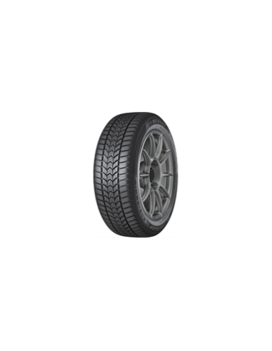 205/55 R16 91 H Dunlop Wintertrail