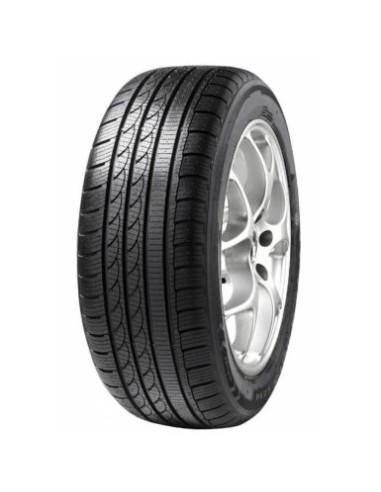 255/40 R19 100 V Minerva S210