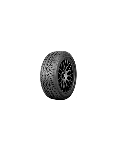 225/60 R17 103 H Paxaro Inverno