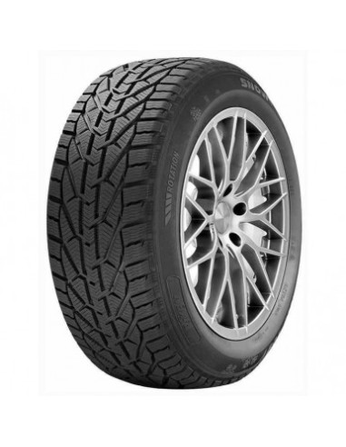 245/45 R18 100 V Riken Snow