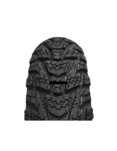 120/70 -12 TL 58P DM-1305...