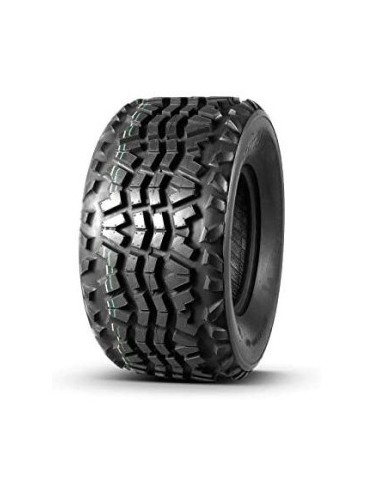 P3077 JOURNEY 22 11 10 98 A3