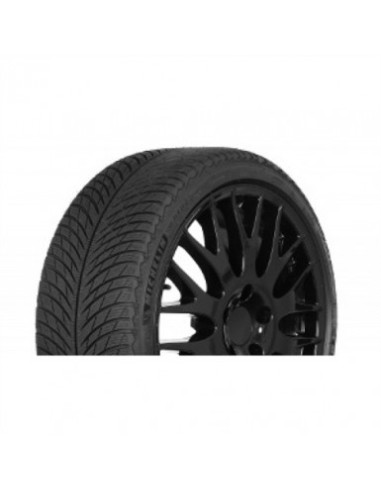 295/40 R20 110 V Michelin Pilot Alpin 5 Suv Mo1 Xl 3pmsf M+s (tl)