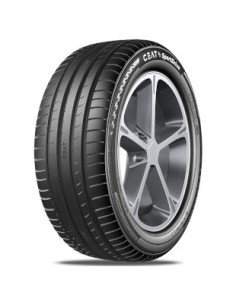 225/55 R16 TL 99W...