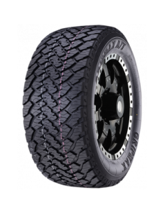 INCEPTION A/T 3PMSF RWL...