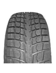 WD ICE I-15 LEAO 225 55 18...