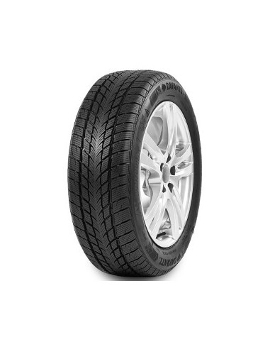 205/55 R16 91 H Davanti Wintoura