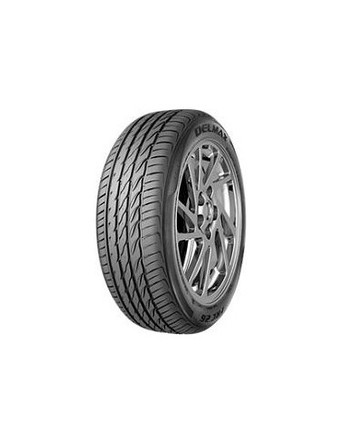 275/35 R19 100 W DELMAX - Perform Pro