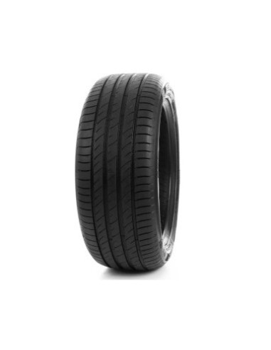 235/40 R18 95 W Delinte DS2