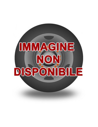 NA6000 NORDEXX 225 60 17 99 V