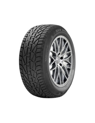 225/65 R17 106 H Riken  Suv Snow