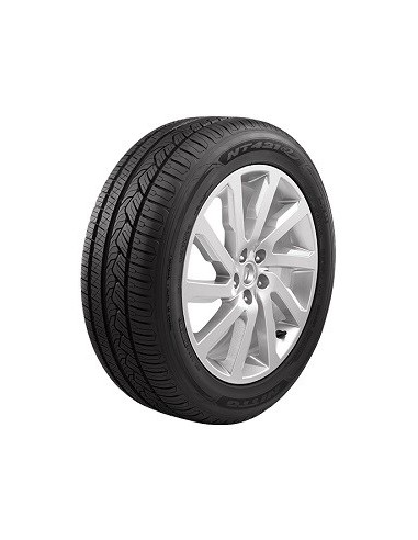 255/50 R19 107 W Nitto Nt421q