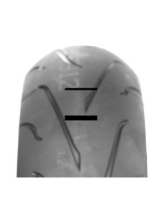 160/60 ZR17 TL (69W)...