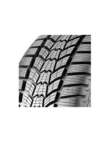 205/55 R17 95 V Sava Eskimo Hp 2 Xl M+s 3pmsf (tl)