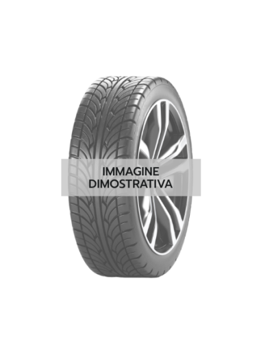 205/50 R17 93 V FORTUNA - GOWIN UHP