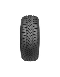 WINTER 601 TAURUS 165 70 14...